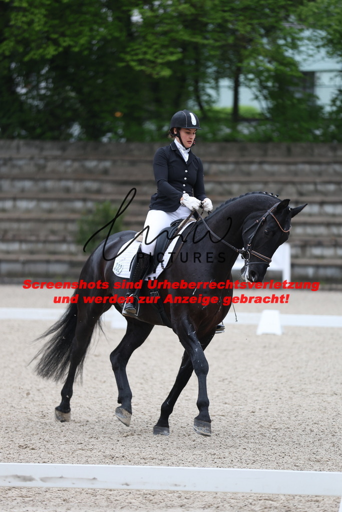 A40A6907 | lmwpictures - Realisiert mit Pictrs.com