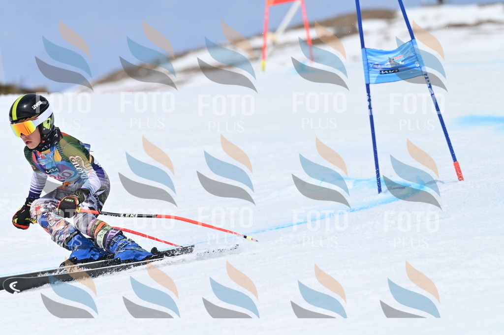 BGV_1705 | holidayphoto