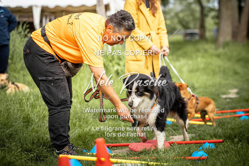 nelerasche_So-earlydog_58 | nelerasche