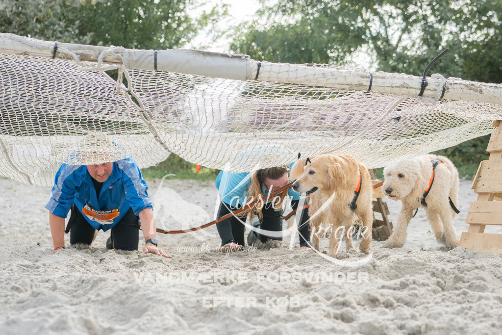 1312_ZZ95731 | kk-dogfotos