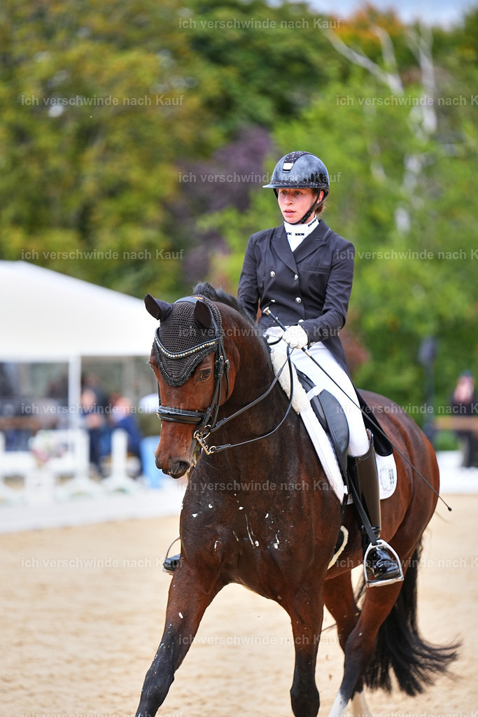 8_1-099-Klasse S_  -Marixx-4179 | working equitationturnier fotograf videograf stoibphotography marixx film working equitation deutschland reitsport turnierfotografie eventfotografie equestrian events