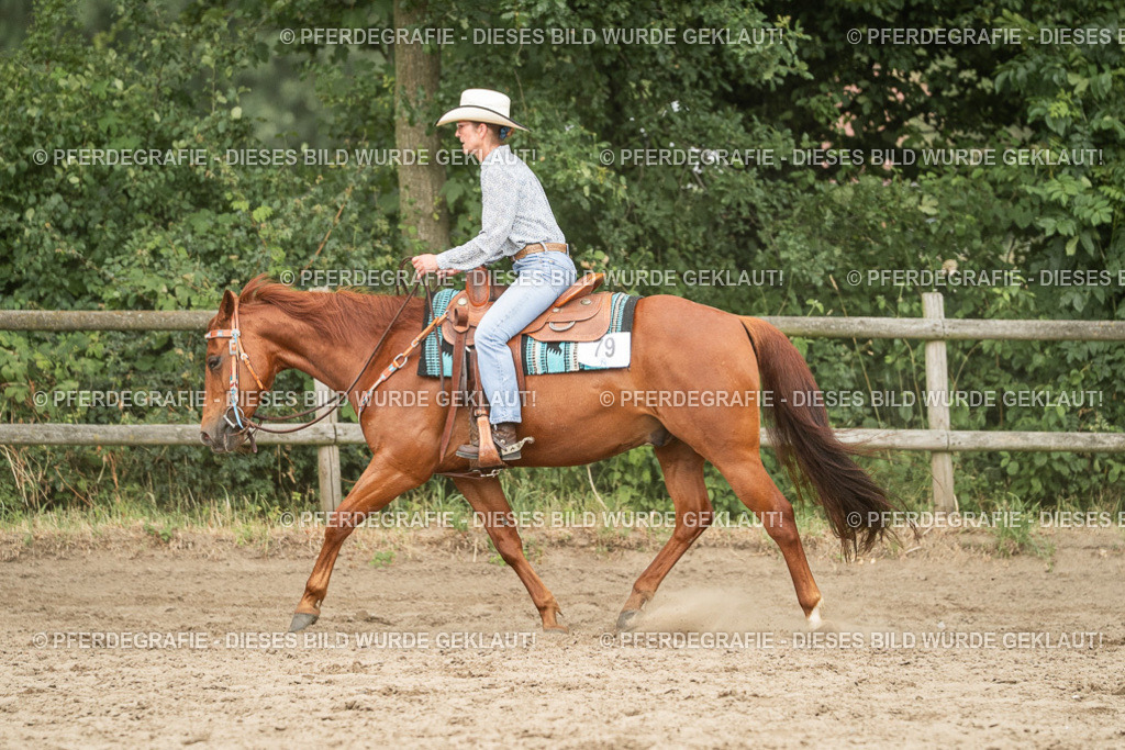 DSC03240 | Pferdegrafie