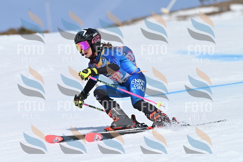 BGV_0191 | holidayphoto