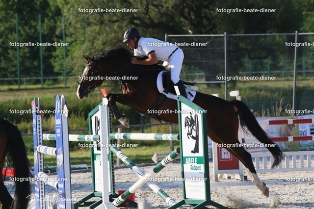 OHT 2022 Röhlingen (190) | Fotografie, Tiere, Hunde, Katzen, Pferde, Sportfotografie, Fotosession, Tierfotografie, Turnierfotografie, Fotografin, Fotograf - Realisiert mit Pictrs.com