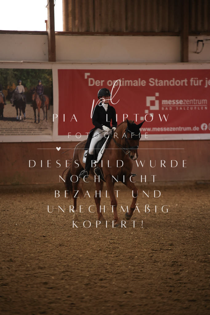 IMGT4803 | pl-fotografie