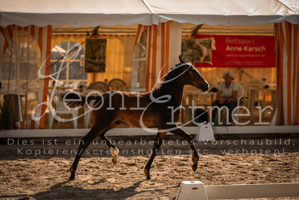 11.DoRP00082 | Leoni Ertmer Photography - Realisiert mit Pictrs.com