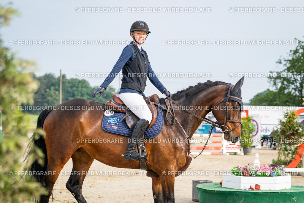 DSC08055 | Pferdegrafie