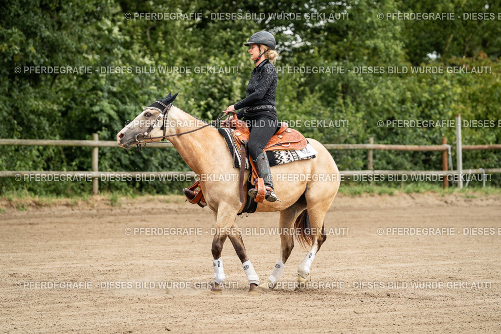 DSC04713 | Pferdegrafie