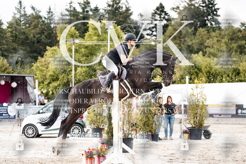 CK903855 | Turnierfotografie Pferdefotografie Trier Rheinland-Pfalz Pferdesport Reitsport Tierfotografie Sportfotografie Pferdevideo Pferdevideografie Equestrianvideography equestrianphotography  - Realisiert mit Pictrs.com