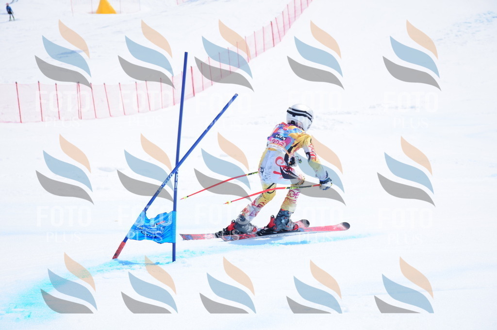 DSC_6900 | holidayphoto