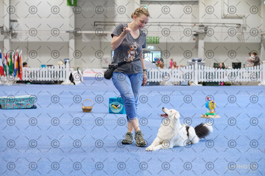 202406_ÖKV-IHA-Tulln24_DSC_4489 | proPHOTO - Realisiert mit Pictrs.com