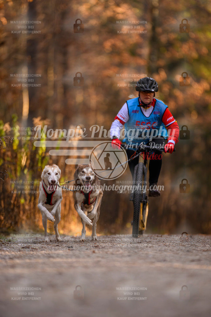 MompixPhotography_DM_AKDM_SO_2025_Scooter-60 | PayLife
