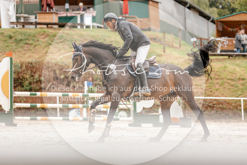 3I6A5895 | Stimmungsvolle Portraits und Reitsportfotografie im Ruhrgebiet und im Münsterland.

Pferdefotografie, Hundefotografie, Tierfotografie, Reportagen, Portraits von Tier und Mensch, Turnierfotografie in Bochum, Recklinghausen, Marl, Haltern am See, Dülmen.. - Realisiert mit Pictrs.com