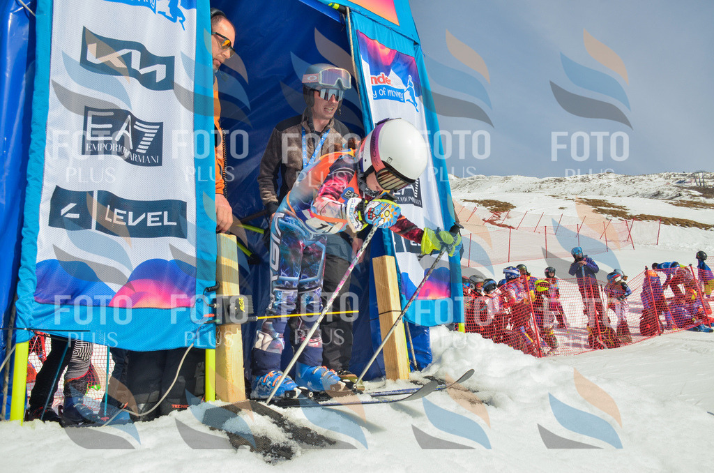 _ELE4545 | holidayphoto