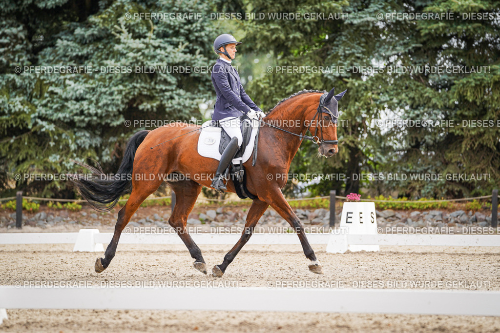 DSC01915 | Pferdegrafie