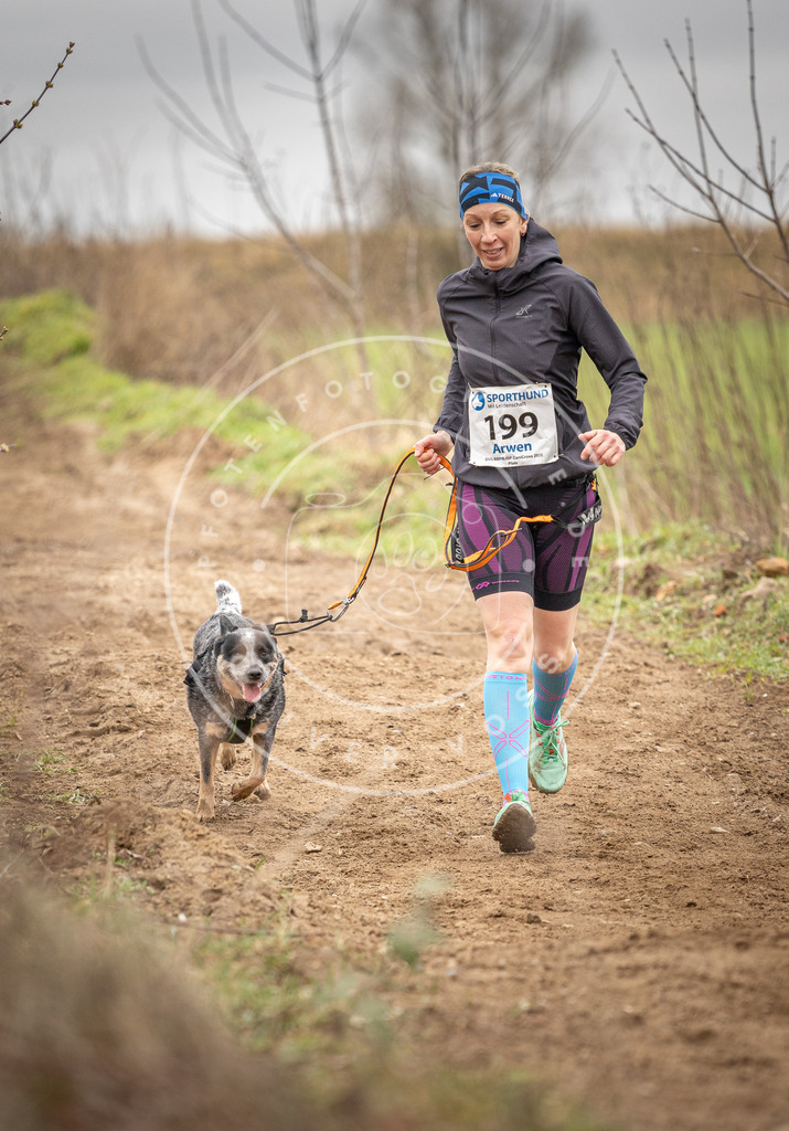 DV3A2395 | Hundefotografie, Tierfotograf, Pfotenfotografie, Fotoshooting Hund, Hunde Portrait, Hundesport, Hundeportraits, Heideshooting, Hunde, Sportfotograf, Hundefotograf, Turnierhundsport, THS,  - Realisiert mit Pictrs.com
