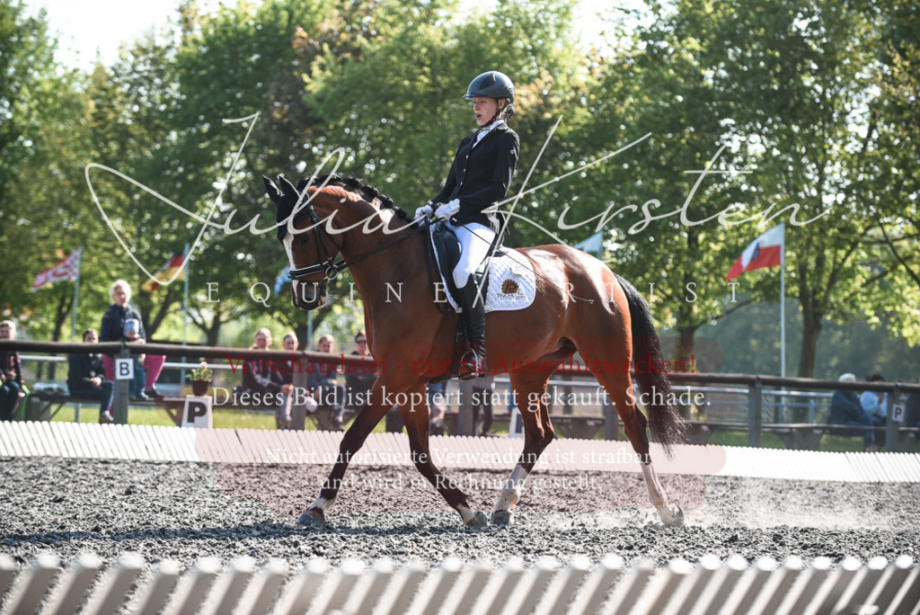DSC_8646 | Pferde- und Turnierfotografie in Westsachsen. Pferdeportraits, Auftragszeichnungen und intuitive Kunst.