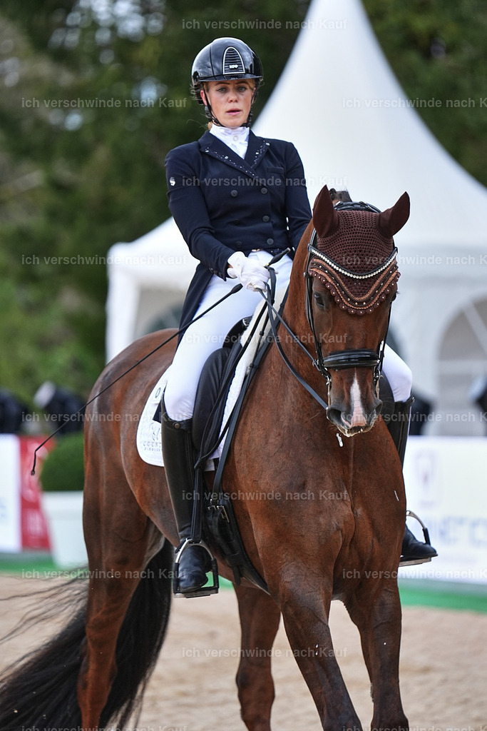 8_1-085-Klasse S_  -Marixx-4090 | working equitationturnier fotograf videograf stoibphotography marixx film working equitation deutschland reitsport turnierfotografie eventfotografie equestrian events