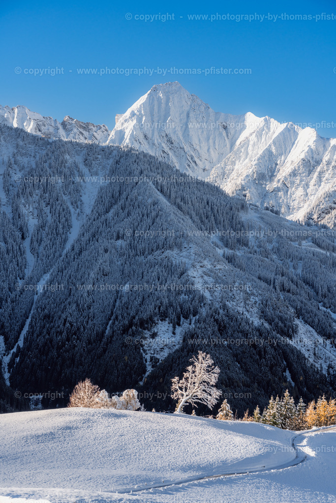 Neuschnee am Brandberg copyright  Thomas Pfister-4 | PHOTOGRAPHY BY THOMAS PFISTER