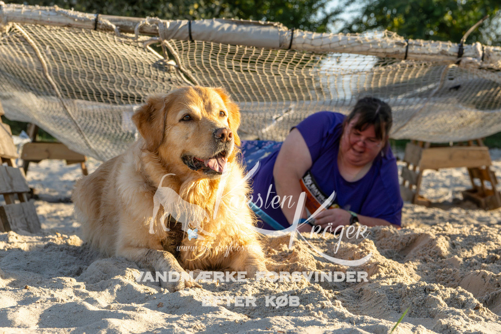 1706_ZZ90570 | kk-dogfotos