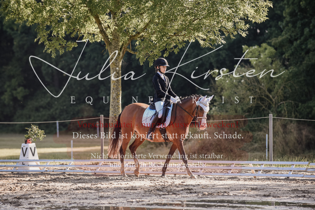 DSC_7758 | Pferde- und Turnierfotografie in Westsachsen. Pferdeportraits, Auftragszeichnungen und intuitive Kunst.