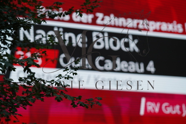VAN01617 | Pferdefotografie in Köln und Umgebung – emotionale Pferdeshootings, Turnierfotografie und besondere Momente zwischen Pferd und Mensch. - Realisiert mit Pictrs.com