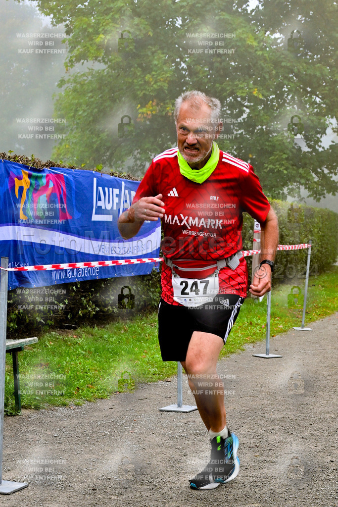 Z8N_2186 | la-psv - Realisiert mit Pictrs.com