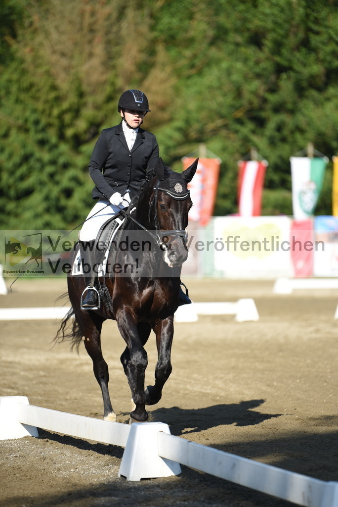 DSC_6883 | equestrian-live-com