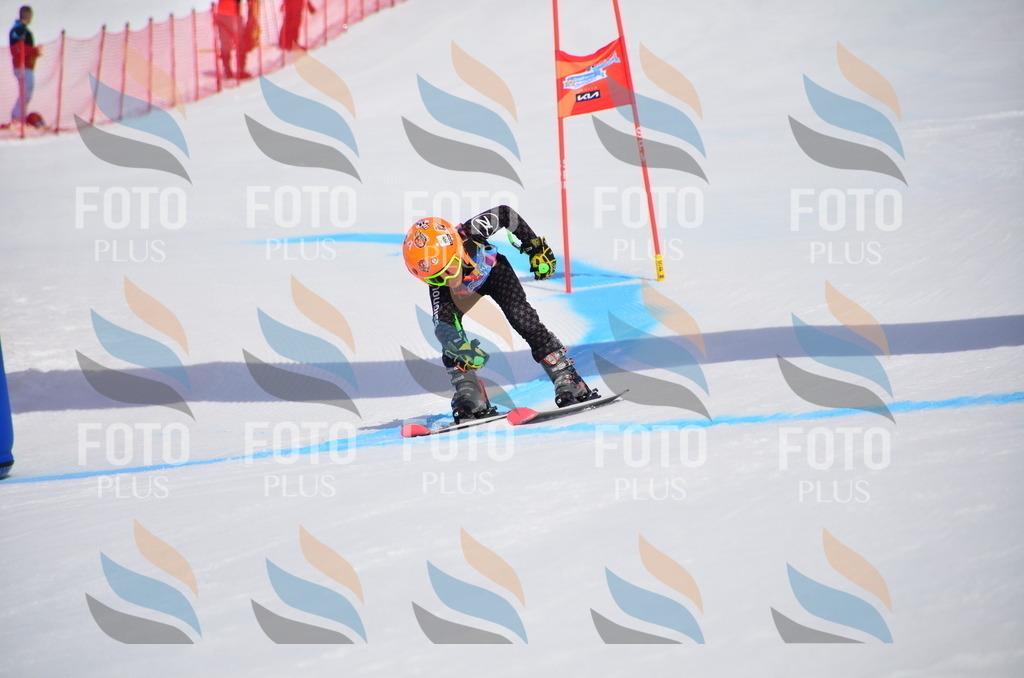 VR4_6651 | holidayphoto