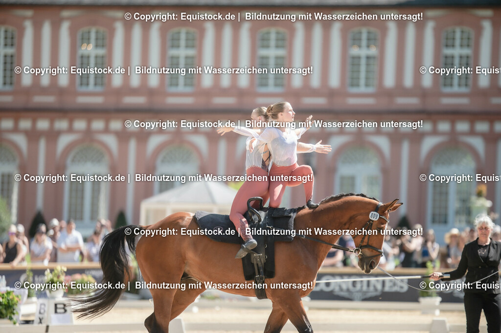 20230528_Voltigieren_NASPA_0406 | equistock