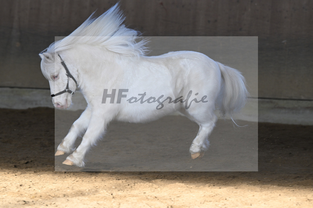 Kat-Nr. 14 Elmhorst Irish Cream v. Elmhorst Irish Coffee_Elmer_49250634 | hf-fotografie - Realisiert mit Pictrs.com