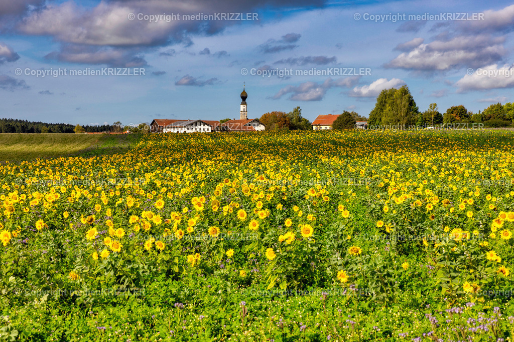 Oberfeldkirchen | medienkrizzler - Realisiert mit Pictrs.com