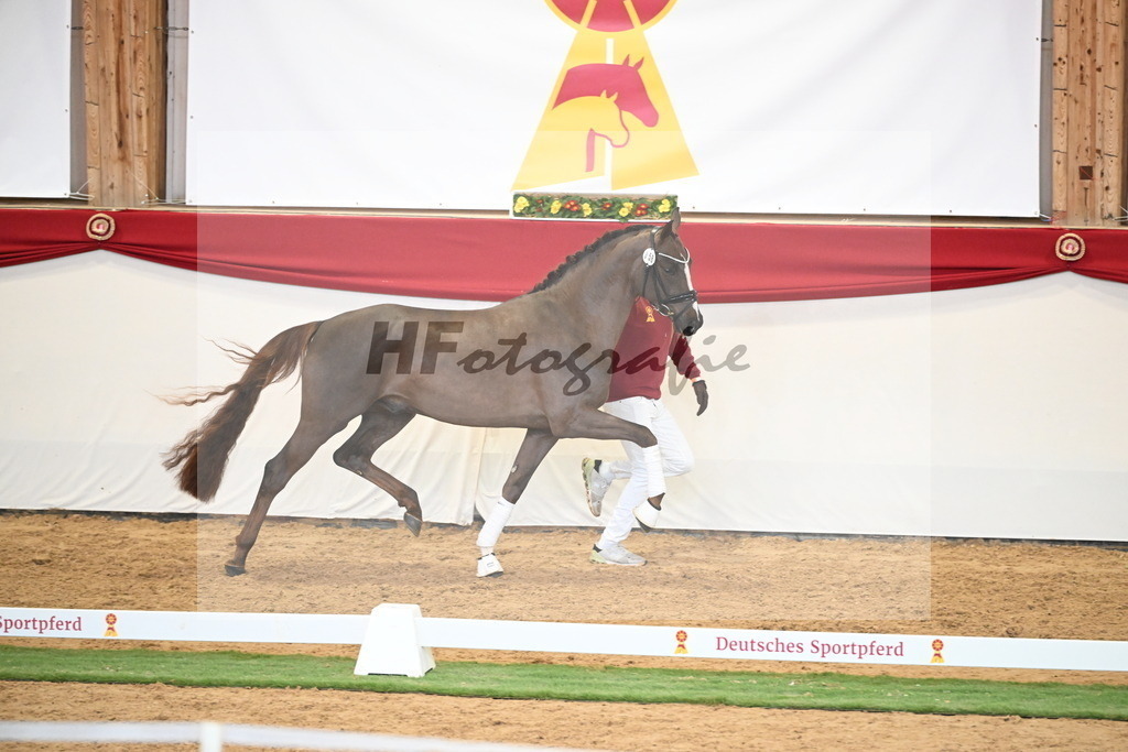 Kat.-Nr. 58 v. Floricello_Heilemann_2250322 | hf-fotografie - Realisiert mit Pictrs.com