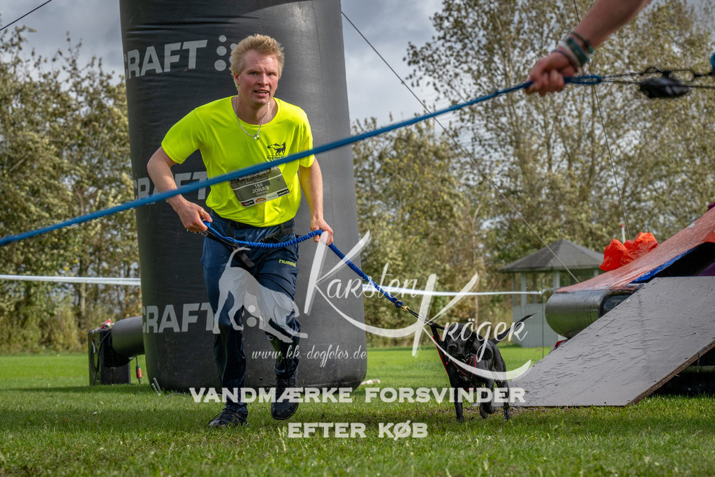 1218-93272 | kk-dogfotos