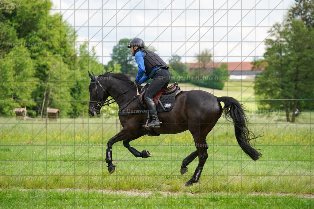20240518-FAH03982 | Turnierbilder von Niederseon, Turnierfotografen Bayern, Fotoagentur Herrmann, Geländebilder, Reitsportfotografie