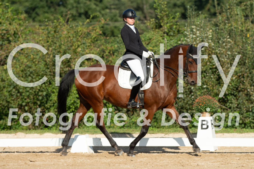 IMG_0919 | Creatify Fotografie