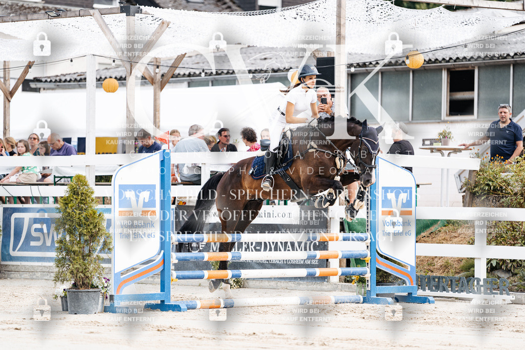 CK908913 | Turnierfotografie Pferdefotografie Trier Rheinland-Pfalz Pferdesport Reitsport Tierfotografie Sportfotografie Pferdevideo Pferdevideografie Equestrianvideography equestrianphotography  - Realisiert mit Pictrs.com