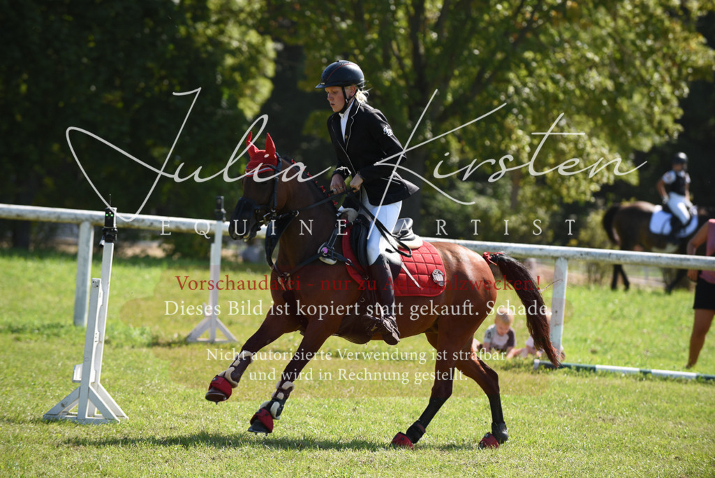 DSC_9276 | Pferde- und Turnierfotografie in Westsachsen. Pferdeportraits, Auftragszeichnungen und intuitive Kunst.