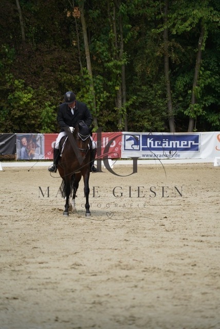 VAN02295 | Marie Giesen Fotografie - Realisiert mit Pictrs.com