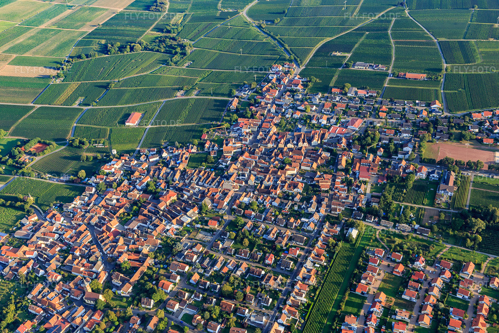 Luftbild: Ortsansicht von Osten im Ortsteil Nußdorf in Landau im Bundesland Rheinland-Pfalz in Deutschland. Foto: IMG_103196.jpg vom 03.09.2017 durch Werner Riehm/FLY-FOTO.de