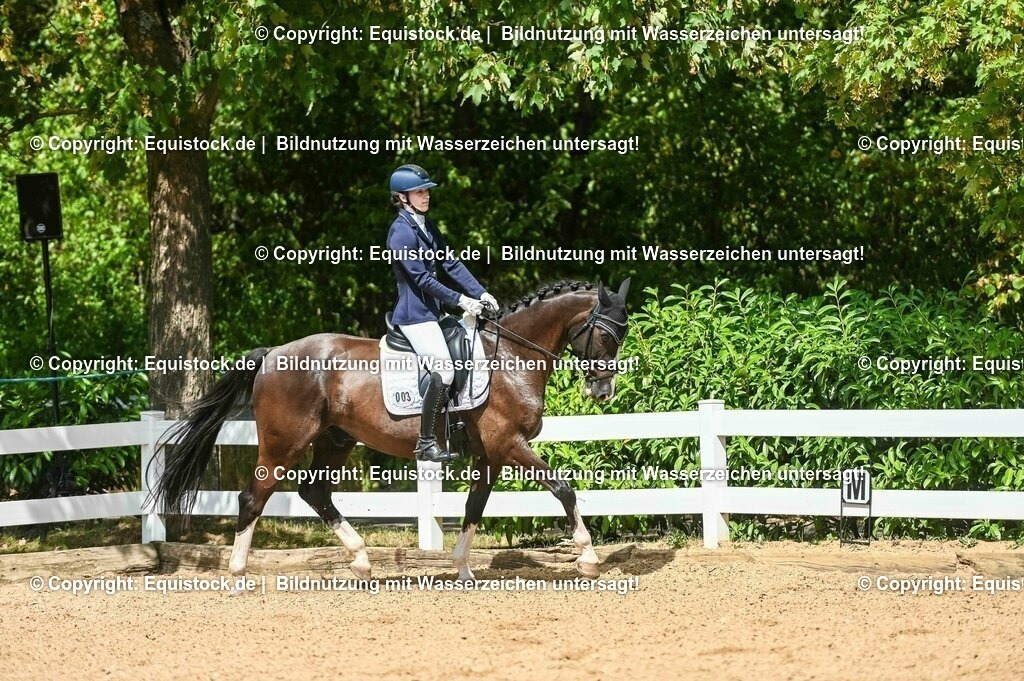 20230715_02_Dressurreiterprüfung Kl.L_0259 | equistock