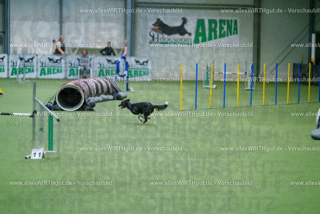 @allesWIRTHgut_Tierfotografie - www.allesWIRTHgut.de - 2604250831-7R506943 | Professionelle Tierfotografie in Mönchengladbach von Daniel Wirth (allesWIRTHgut). Liebevolle & natürliche Bilder von Hunden & Katzen für unvergessliche Erinnerungen.