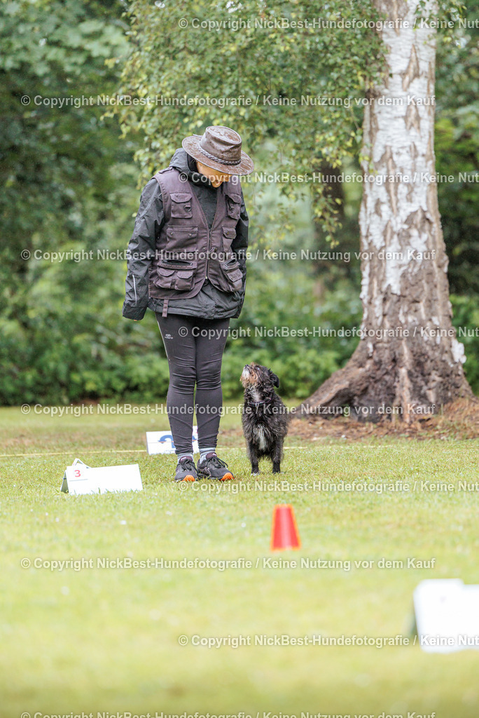 RO-Blumenthal-2026-Nickbest-Hundefotografie-0200 | Dein Hund! Dein Moment! Deine Erinnerungen! Hundefotografie in Bremen Blumenthal. Ich fange die besonderen Momente deines Vierbeiners ein – ob Indoor mit Blitzanlage oder in der freien Natur. Sicher dir dein Moment und dein Termin für eure Erinnerungen.