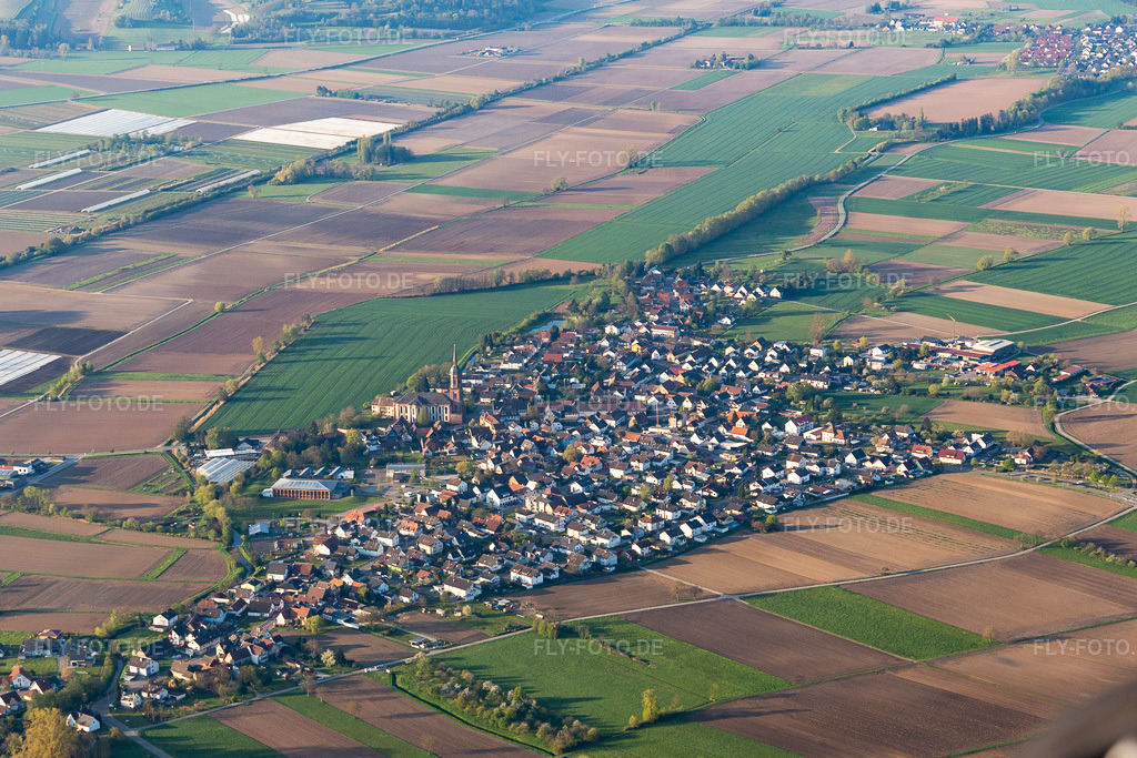 Luftbild: Ortsansicht im Ortsteil Schuttern in Friesenheim im Bundesland Baden-Württemberg in Deutschland. Foto: IMG_126574.jpg vom 25.04.2021 durch Werner Riehm/FLY-FOTO.de
