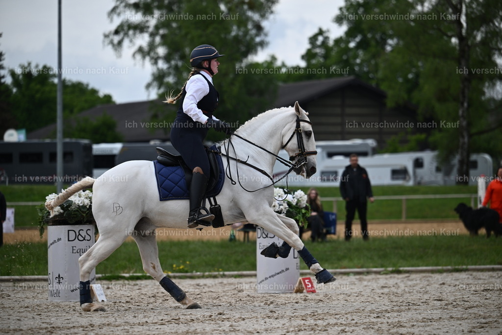 PI26_SP_Sara_Landvogt_226_4769.JPG | working equitationturnier fotograf videograf stoibphotography marixx film working equitation deutschland reitsport turnierfotografie eventfotografie equestrian events