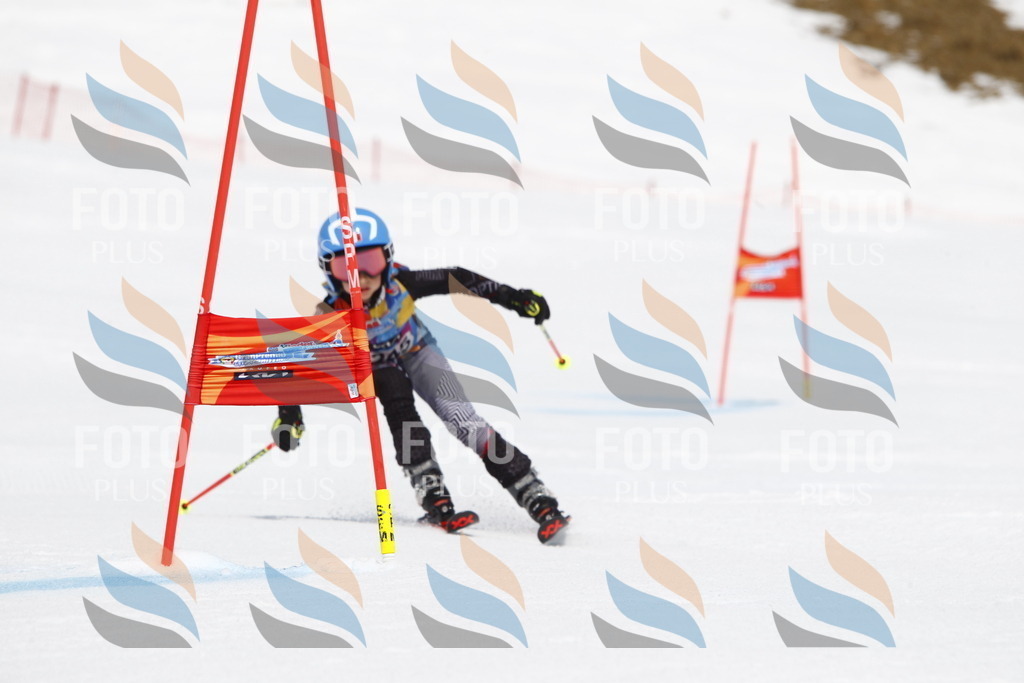 _U3G6197 | holidayphoto