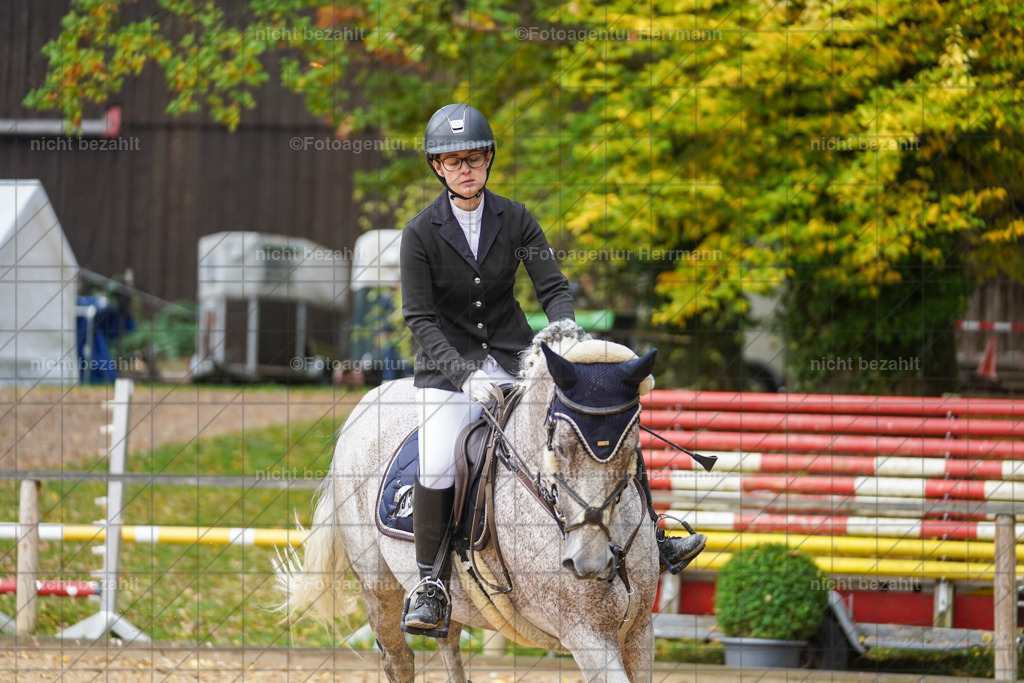 20221009-FAH08338 | Diessen am Ammersee, 2022, Dressur- und Springturnier, Reitsportbilder, Turnierfotografen Bayern, Pferdefotografen, Fotoagentur Herrmann, Turnierbilder