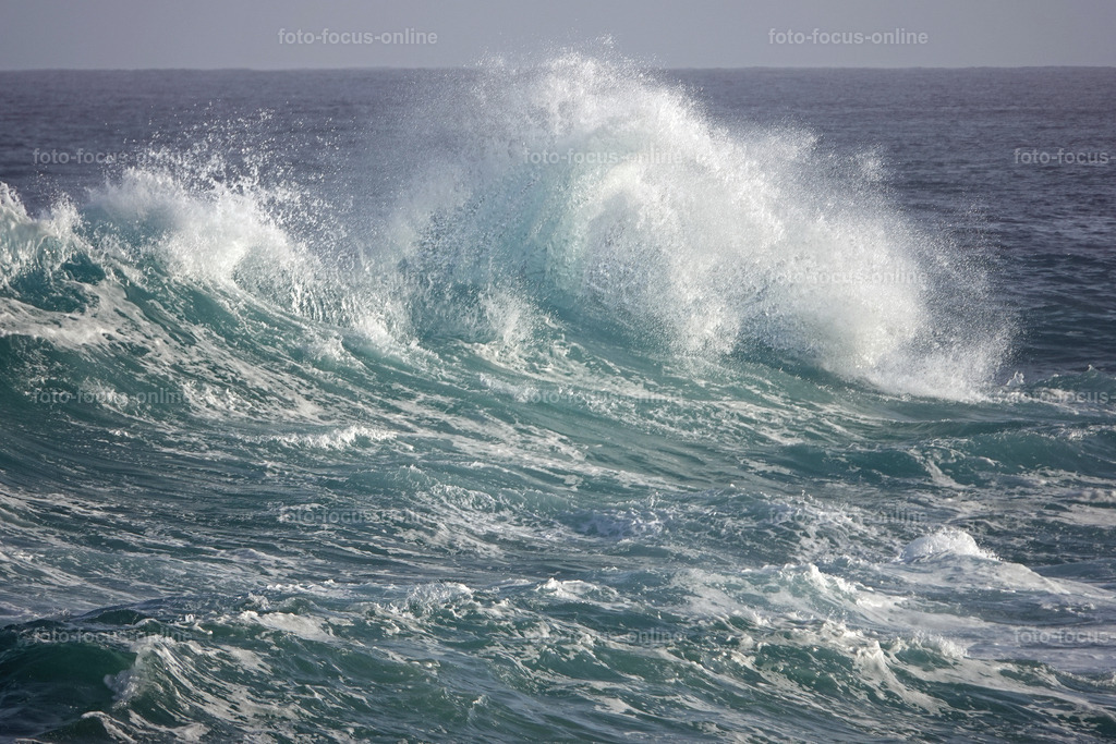 Wild Waves | Wild Waves Atlantic