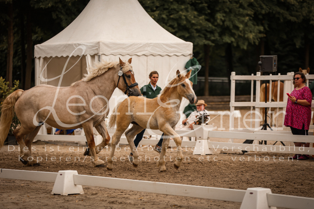 SaHF00057 | Leoni Ertmer Photography - Realisiert mit Pictrs.com