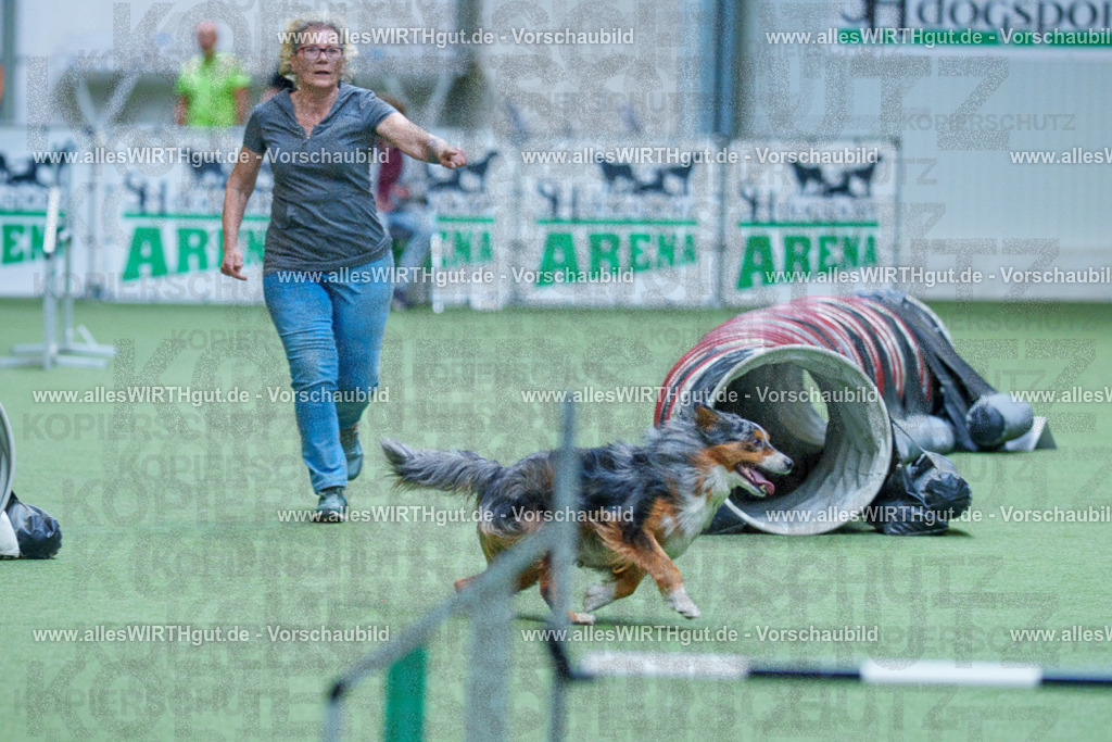 @allesWIRTHgut_Tierfotografie - www.allesWIRTHgut.de - 2604251517-7R505700 | Professionelle Tierfotografie in Mönchengladbach von Daniel Wirth (allesWIRTHgut). Liebevolle & natürliche Bilder von Hunden & Katzen für unvergessliche Erinnerungen.